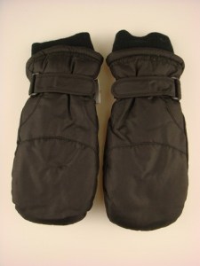 dames-ski-want-dh002-zwart-beterpet-nl