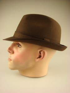 luxe-herenhoed-vh080-bruin-1-beterpet-nl