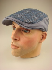 modieuze-smalle-pet-blauw-geruit-dr024-1-beterpet-nl