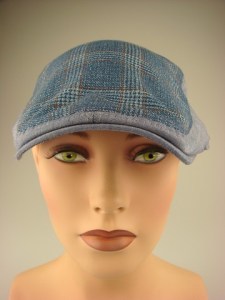 modieuze-smalle-pet-blauw-geruit-dr024-3-beterpet-nl