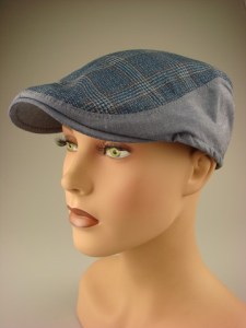 modieuze-smalle-pet-blauw-geruit-dr024-4-beterpet-nl