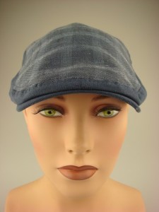 modieuze-smalle-pet-blauw-geruit-dr062-3-beterpet-nl