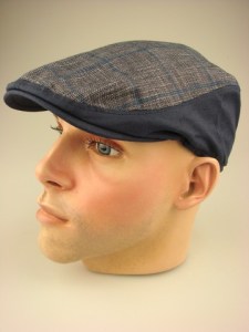 modieuze-smalle-pet-blauw-geruit-dr069-1-beterpet-nl