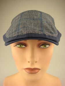 modieuze-smalle-pet-blauw-geruit-dr069-3-beterpet-nl