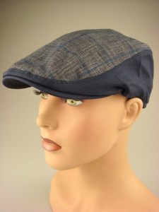 modieuze-smalle-pet-blauw-geruit-dr069-4-beterpet-nl