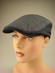 modieuze-smalle-pet-donkerblauw-geruit-dr064-4-beterpet-nl