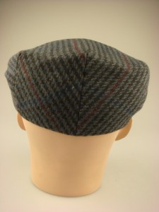 platte-heren-pet-wp198-blauw-2-beterpet-nl