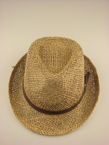 Trilby Zeegras Hoedje